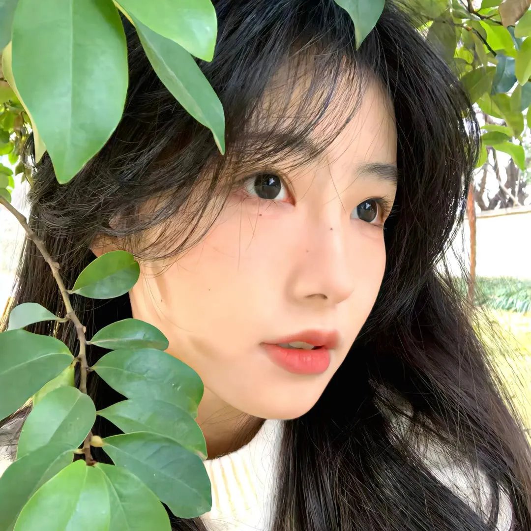 我不为父歌唱